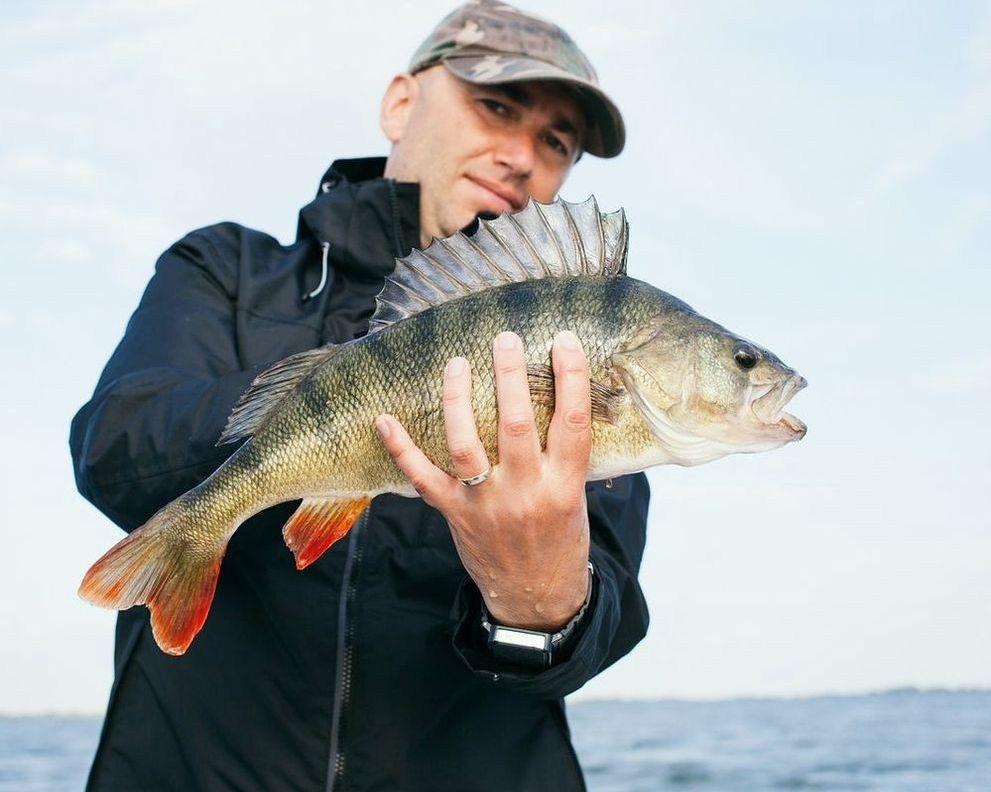 Share discoveries with fellow anglers